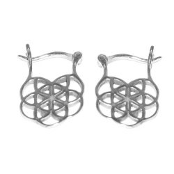 Pendientes de latón chapados plateados PE836IN